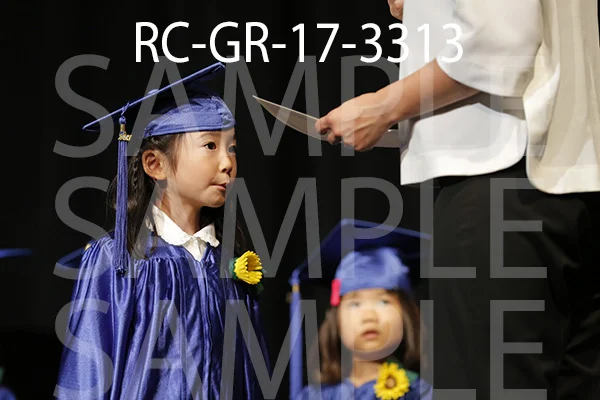 RC-GR-17-3313.jpg