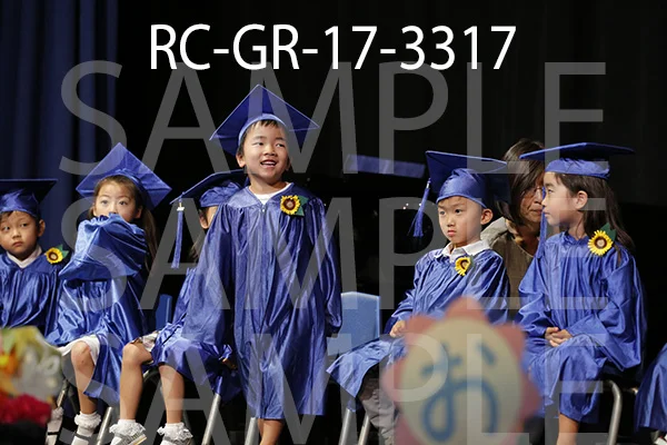 RC-GR-17-3317.jpg