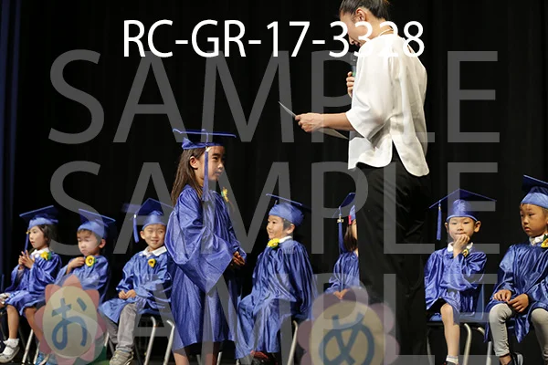 RC-GR-17-3328.jpg