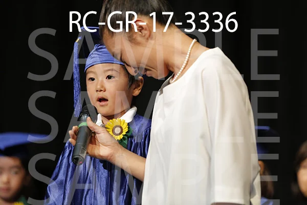 RC-GR-17-3336.jpg