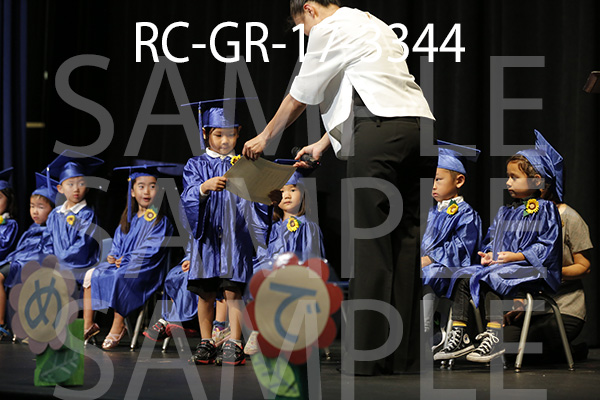 RC-GR-17-3344.jpg