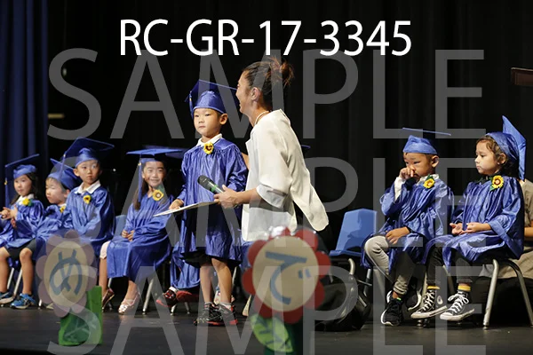 RC-GR-17-3345.jpg