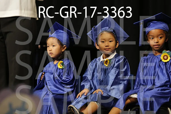 RC-GR-17-3363.jpg