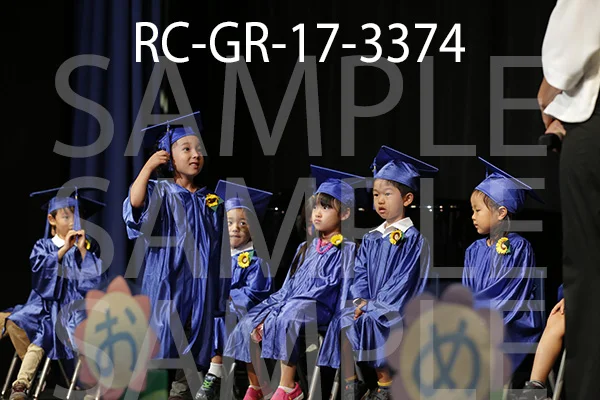 RC-GR-17-3374.jpg