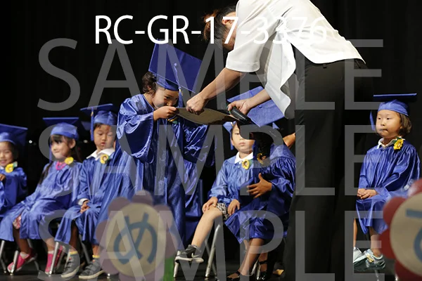 RC-GR-17-3376.jpg