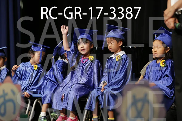 RC-GR-17-3387.jpg