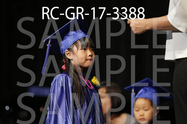 RC-GR-17-3388.jpg