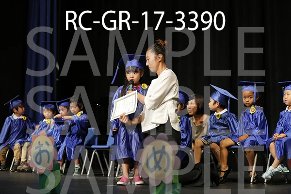 RC-GR-17-3390.jpg