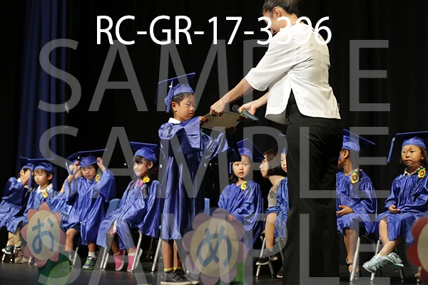 RC-GR-17-3396.jpg