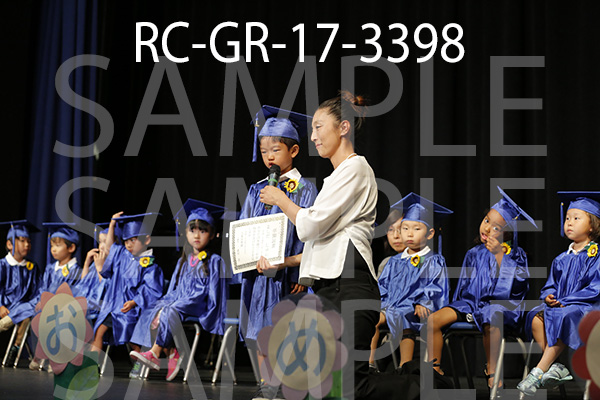 RC-GR-17-3398.jpg
