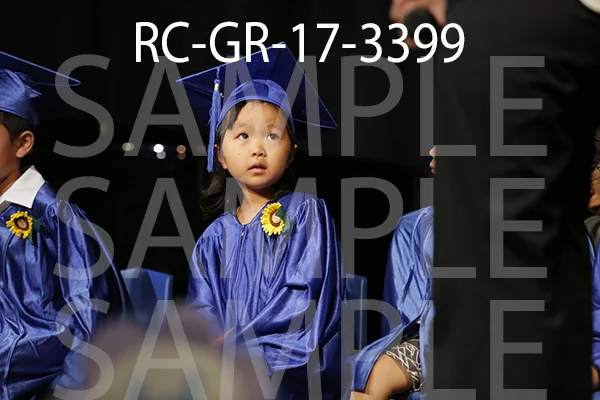 RC-GR-17-3399.jpg