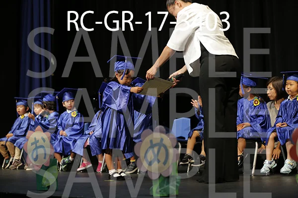 RC-GR-17-3403.jpg