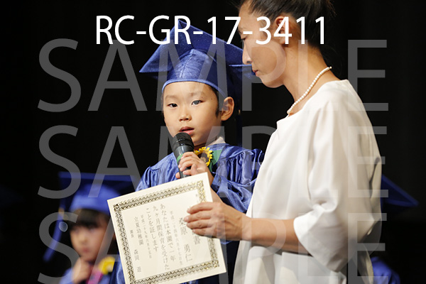 RC-GR-17-3411.jpg