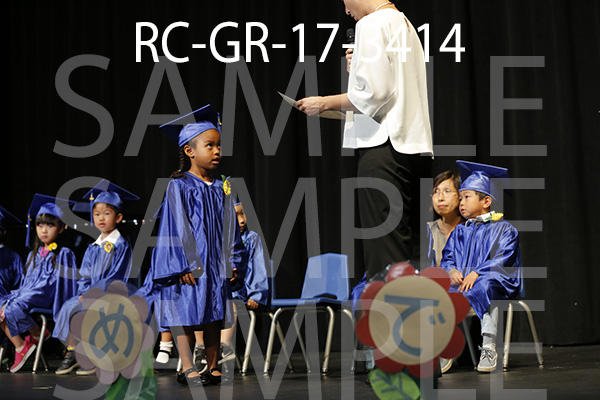 RC-GR-17-3414.jpg