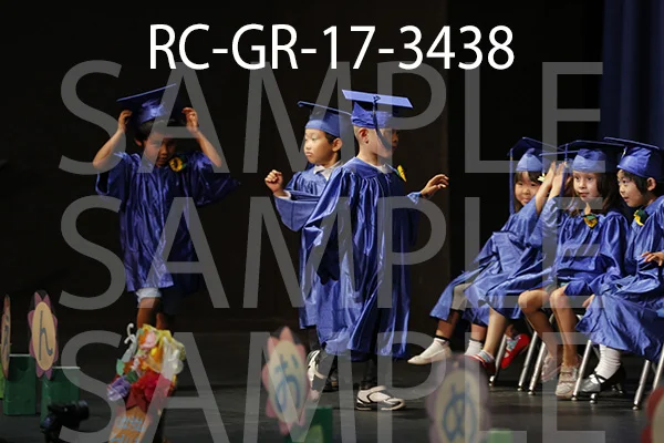 RC-GR-17-3438.jpg