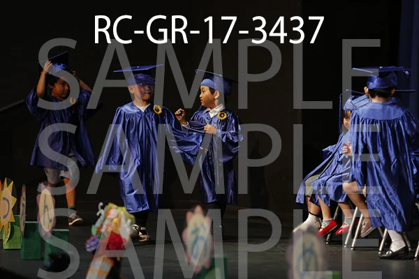 RC-GR-17-3437.jpg
