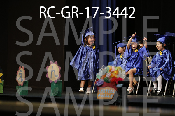 RC-GR-17-3442.jpg