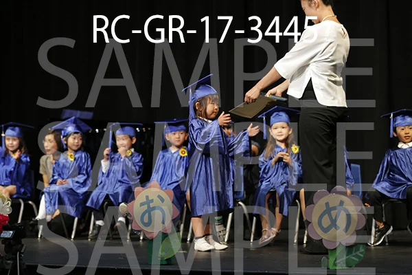 RC-GR-17-3445.jpg