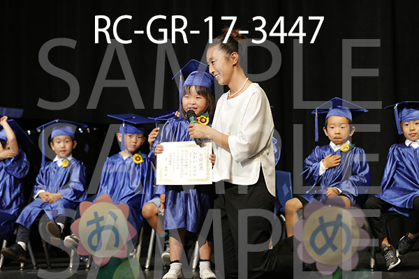 RC-GR-17-3447.jpg