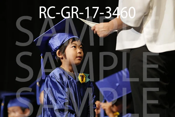 RC-GR-17-3460.jpg