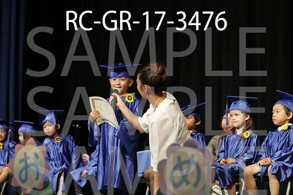 RC-GR-17-3476.jpg