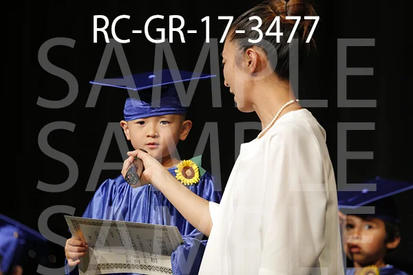 RC-GR-17-3477.jpg