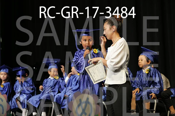 RC-GR-17-3484.jpg