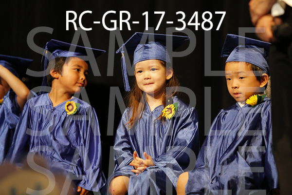 RC-GR-17-3487.jpg