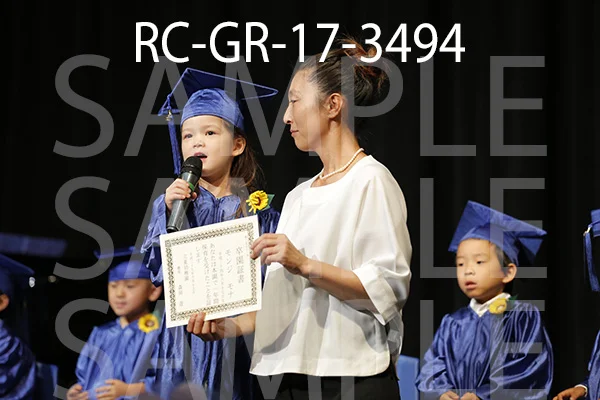 RC-GR-17-3494.jpg