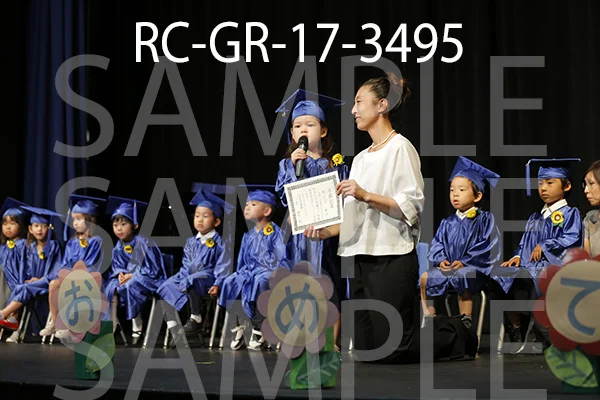 RC-GR-17-3495.jpg