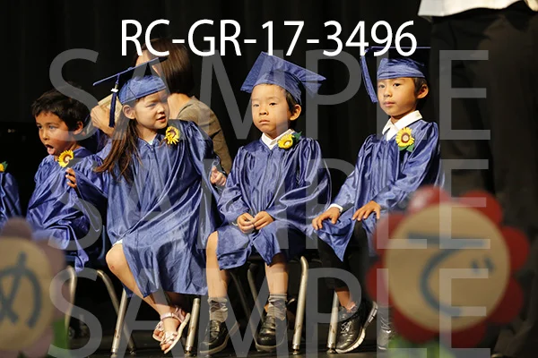 RC-GR-17-3496.jpg