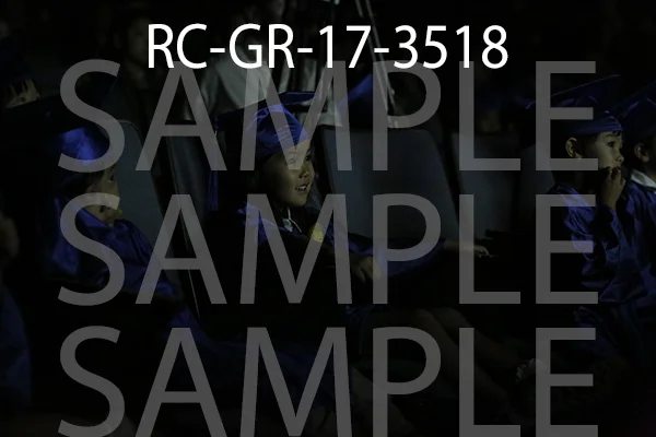 RC-GR-17-3518.jpg