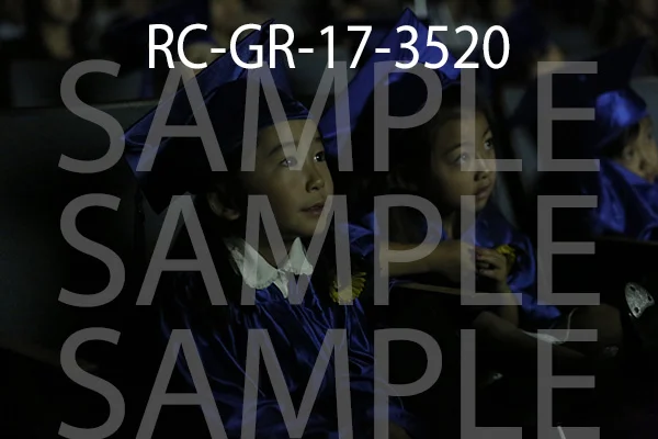RC-GR-17-3520.jpg