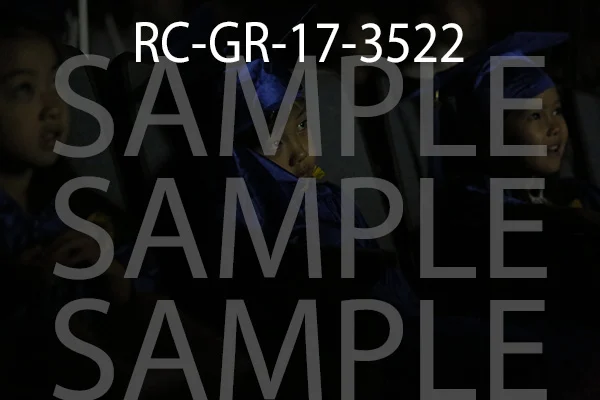 RC-GR-17-3522.jpg