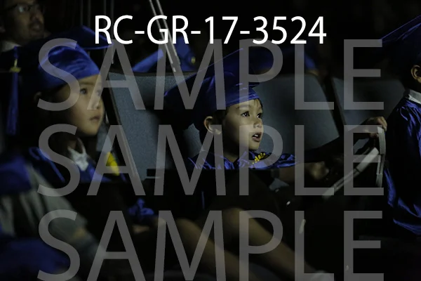 RC-GR-17-3524.jpg