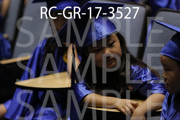 RC-GR-17-3527.jpg