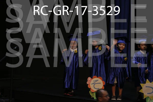 RC-GR-17-3529.jpg