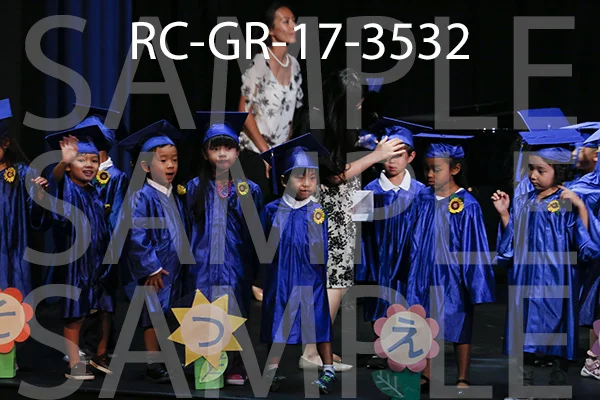 RC-GR-17-3532.jpg
