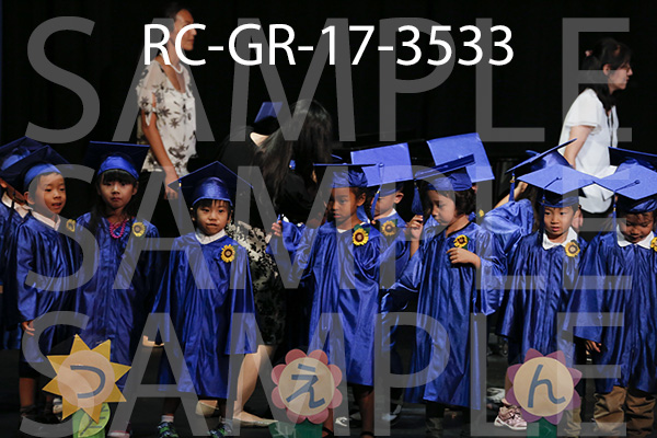 RC-GR-17-3533.jpg