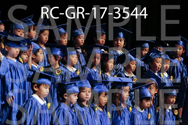 RC-GR-17-3544.jpg