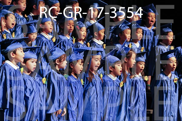 RC-GR-17-3554.jpg