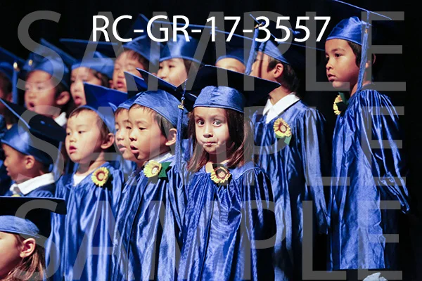 RC-GR-17-3557.jpg