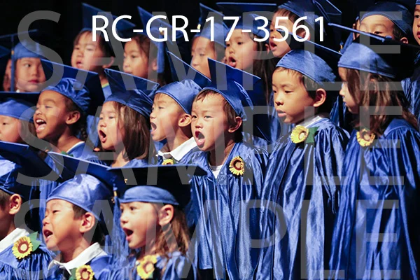 RC-GR-17-3561.jpg