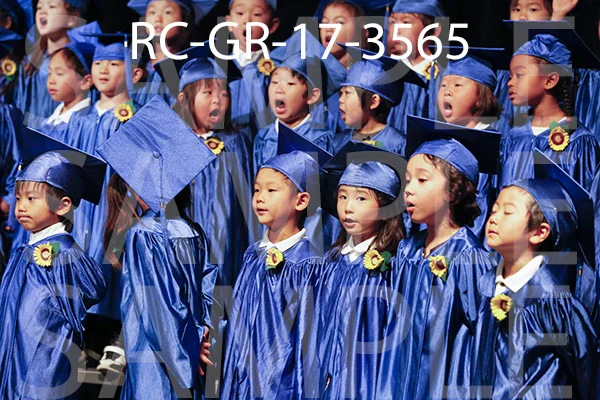 RC-GR-17-3565.jpg
