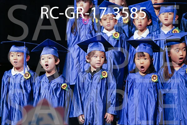 RC-GR-17-3585.jpg