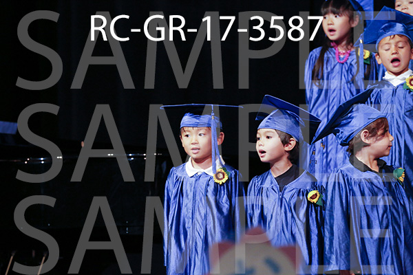 RC-GR-17-3587.jpg