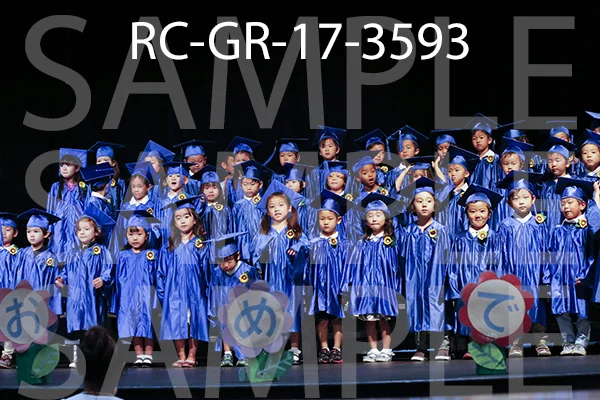 RC-GR-17-3593.jpg