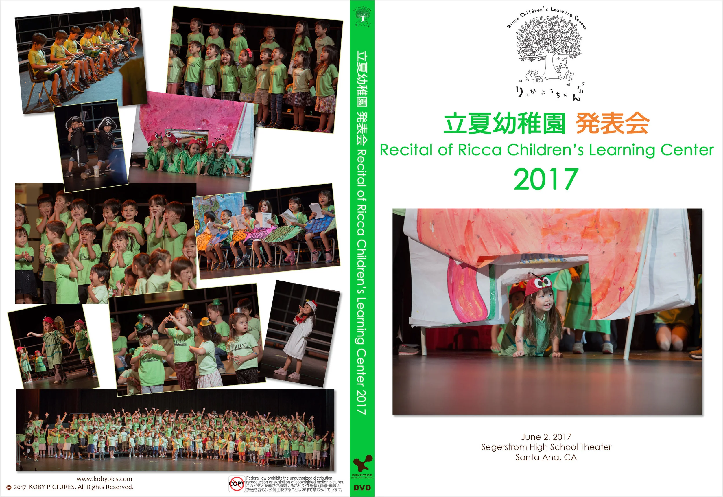 RiccaRecital2017case.jpg