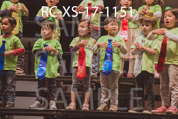 RC-XS-17-1151.jpg