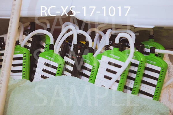 RC-XS-17-1017.jpg